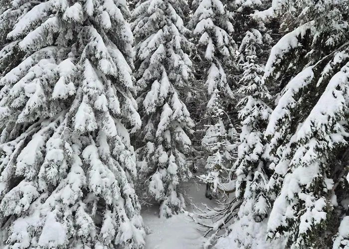 Castello Kraljevi Cardaci Komplex